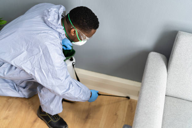 Best Bed Bug Extermination  in Sisco Heights, WA